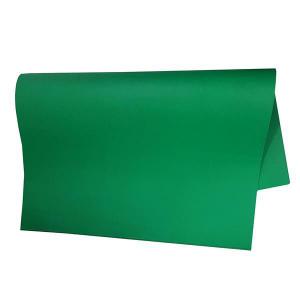 Papel Colorset Verde (48X66Cm) 20 Peças - Vmp