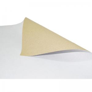 Papel Cartão Simples Branco (48X66Cm) 20 Peças - Vmp