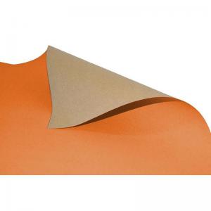 Papel Cartão Simples Laranja (48X66Cm) 20 Peças - Vmp