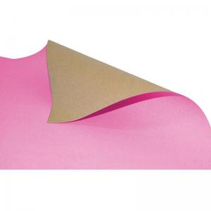 Papel Cartão Simples Rosa (48X66Cm) 20 Peças - Vmp
