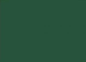 Papel Camurca 40X60Cm Verde Musgo C/25 Fls Vmp