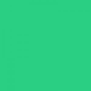 Cartolina Comum 50X66Cm Verde com 100 Unidades -  Bignard