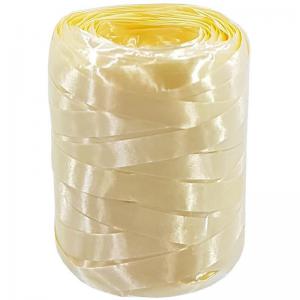 Fitilho Decorativo Nizuri 5Mmx50M N16 Champangne