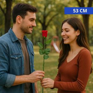 Botão Rosa Aveludado Decorativo 53Cm Presente Romântico
