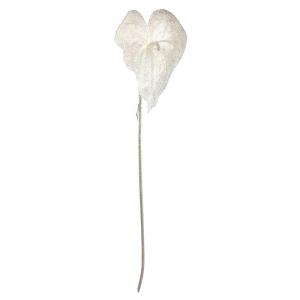 Haste Anthurium C/Gliter 75Cm D&A