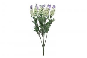 Buque Allium X5 35Cm Cp Import