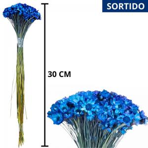 Flor Mini Desidratada Sempre Viva 30Cm Sortidas 1 Maço - Tuti Flores
