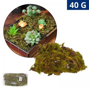 Musgo Natural 40G - Nadare