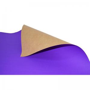 Papel Cartão Simples Roxo (48X66Cm) 20 Peças - Vmp