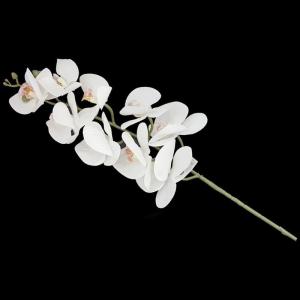 Haste Orquidea Branca X9 100 Cm - Centro Oeste