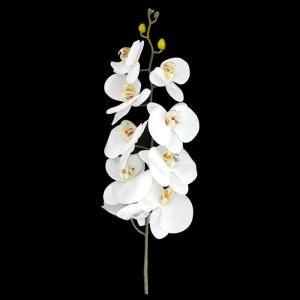 Haste Orquidea Branca X9 100 Cm - Centro Oeste