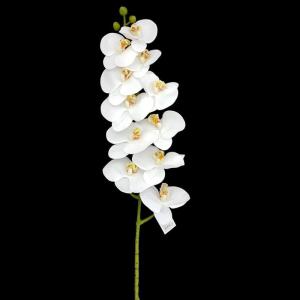 Haste Orquidea Branca X11 100 Cm - Centro Oeste