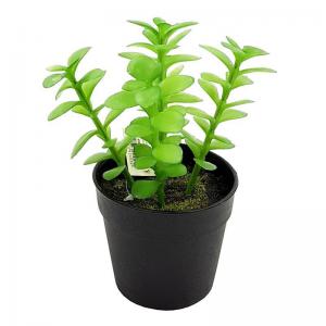 Arranjo Suculenta Artificial Decorativo 20Cm Grillo