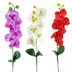 Haste de Orquidea X6 Sortido - Cp Import