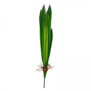 Folhagem Orquídea Real Verde com Raíz X7 57Cm - Grillo