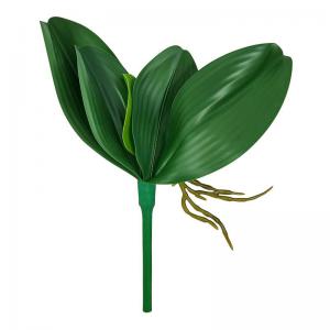 Folhagem Orquidea Verde C/Raiz X5 28Cm - Decoromax
