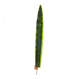 Complemento Folhagem Espada de São Jorge  Verde Escuro - Grillo