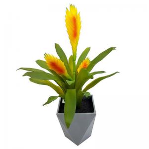 Arranjo Bromelia Siliconada Laranja com Vaso Plástico 36Cm - Grillo
