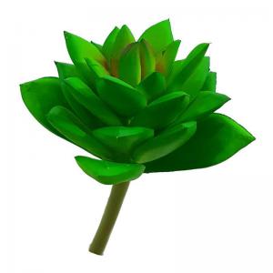 Folhagem Suculenta Real Verde 11Cm - H8.Com
