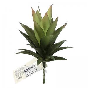 Folhagem Suculenta Abacaxi Verde Envelhecido 15Cm - H8.Com