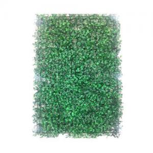 Tapete Grama Amendoim Rasteira Verde Grande 60X40Cm
