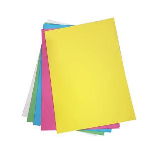 Cartolina Comum 50X66Cm Sortidas com 100 Unidades - Reipel