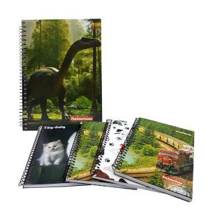 Caderno Espiral 1/4 Capa Dura 96 Folhas Panamericana