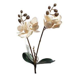 Haste Orquidea Cetim Branco Rajado com 2 Galhos 34Cm - Grillo