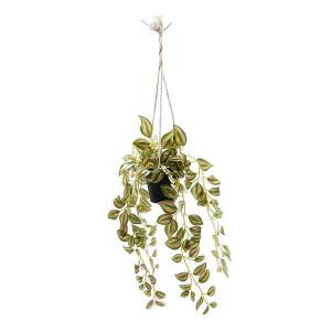 Pendente Folhagem para Pendurar Verde e Rosa com Vaso Plastico X8 - Grillo