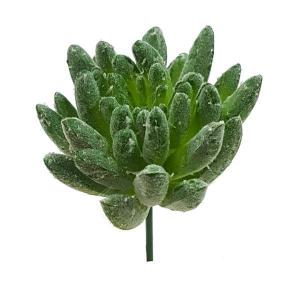 Planta Suculenta Verde Gominho Decoração 10Cm
