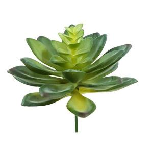 Planta Suculenta Verde Decorativa 10Cm