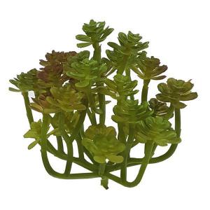 Planta Suculenta Verde Pinheirinho Decorativo 14Cm