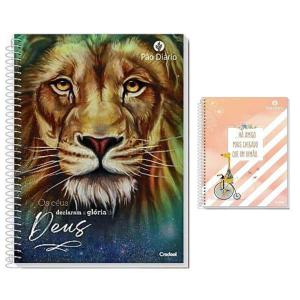 Caderno 16 Matéria 256 Folhas Capa Dura Publicacoes Pao Diario Teen - Credeal