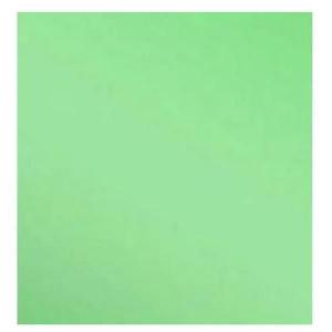 Cartolina Comum 50X66Cm Verde com 100 Unidades