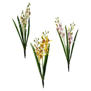 Haste Orquidea com Folhagem Spider Sortidas 65Cm - Mc Flores
