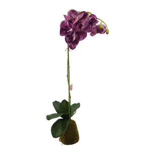Haste Orquidea Lavanda com Musgo 9 Flores - Grillo