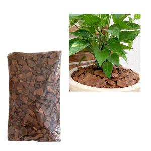 Casca de Pinus Rolada Média 500Gr - Sanpan