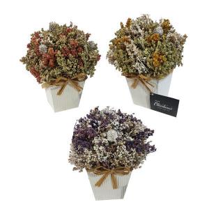 Arranjo Mini Flores Rústicas Vaso Papel Cartão