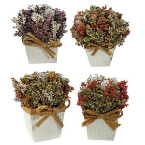 Arranjo Mini Flores Rústicas Vaso Papel Cartão