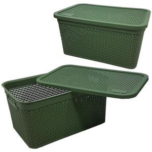 Caixa Plástica Organizadora Naturalle Decorada Verde 15 Litros Grande 19X39X26Cm - Rischioto