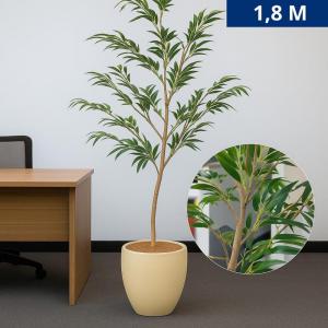 Planta Bambu Mosso Natural Verde 180Cm - Fiorella
