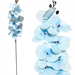 Haste Orquidea Azul Outonada 105Cm - Mc Flores