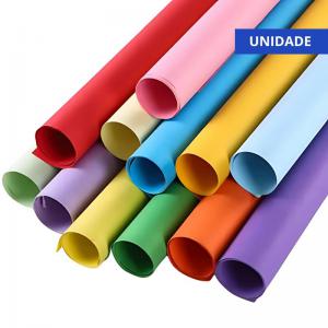 Papel Cartao 48X66Cm Sortidos Unidade - Ridet