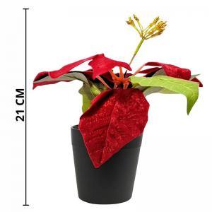 Arranjo Natalino Bico-De-Papagaio Vermelho 21Cm Decorativo