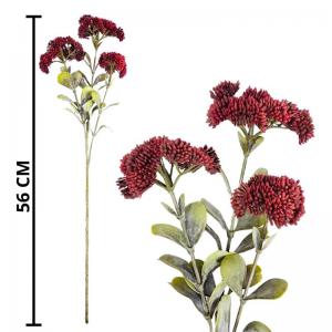 Haste Semente Desidratada Decoração 56Cm Mc Flores