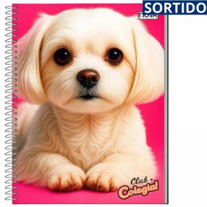 Caderno Colegial 20 Matérias Capa Dura 280 Folhas