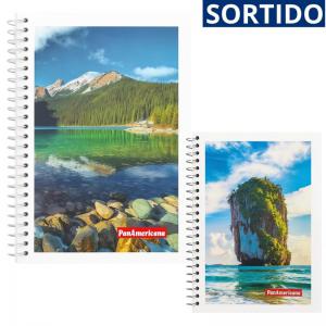 Caderno Espiral 1/4 Panamericana 80 Folhas Flexível