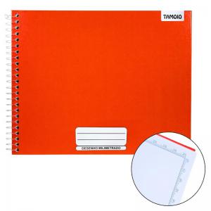 Caderno de Desenho Milimetrado 48 Folhas Capa Dura Cartografia