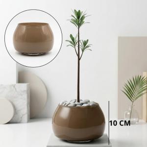Vaso de Vidro Júpiter Cappuccino Pequeno 10X13Cm para Plantas Decoração