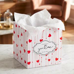 Cachepot Quadrado de Papelão Sintonia 15Cm para Cestas Decoração e Presentes